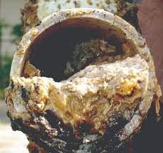 A close-up of a pipe
Description automatically generated